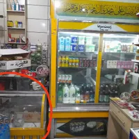 یخچال سوپرمارکت بامیز|یخچال و فریزر|مشهد, گرجی علیا|دیوار