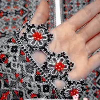 انواع کریشی با قیمت مناسب|لباس|خاش, |دیوار