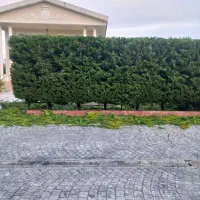 هرسکاری تخصصی بادستگاه ،سم پاشی،علف تراشی بادستگاه