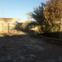 خانه|فروش خانه و ویلا|رفسنجان, |دیوار