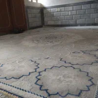 فرش نو تمیز|فرش|آزادشهر, |دیوار