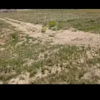 هزارمترزمین زمین دربیلوردی