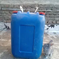 نگهدارنده