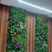 نصب   دیوار  سبز  مصنوعی ،‌ مدل  بوته های.  ترکیبی|گل مصنوعی|تهران, بازار|دیوار