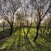 زمین باغ شهری گلاب دره