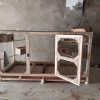 قفس شیک|لوازم جانبی حیوانات|ایذه, |دیوار