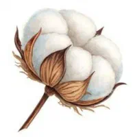 پوشال برند اوزکان