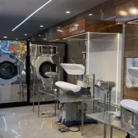 خشکشویی اتوشویی شبانه روزی Vip