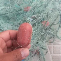 فروش وسایل ماهیگیری|ماهیگیری|چاه مبارک, |دیوار