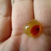 دستبند اسپرت یاقوت زرد خاص|جواهرات|تهران, کرمان|دیوار