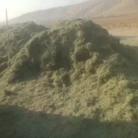 فروش یونجه درجه 1