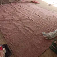 موکت ، قالیچه ، تابلو فرش