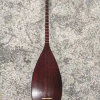 تنبور کاسه ای