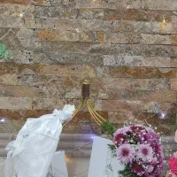 ماشین عروس بله برون دسته گل پول باکس نوزادی|گل و گیاه طبیعی|یزد, |دیوار