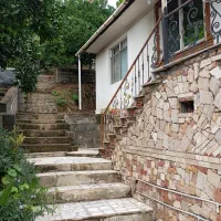 اجاره ویلا جنگلی تک خوابه