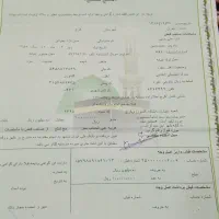 فیش حج تمتع|تور و چارتر|تهران, دکتر هوشیار|دیوار