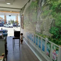 تزیینات ساختمان فروش کاغذ دیواری و پارکت