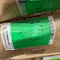 ظروف هتلی و کانتر گرم|ظروف سرو و پذیرایی|رشت, گلسار|دیوار