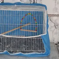 قفس سالم با کلیه لوازم ۲۵۰ ت .فروتقه