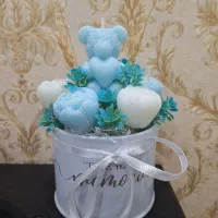 باکس گل شمعی|گل مصنوعی|کرج, کرج نو|دیوار