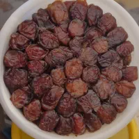 خرمایی تازه بهبهان|خوردنی و آشامیدنی|تهران, زهتابی|دیوار