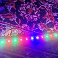 نور حرفه ای ۸۰سانتی|گل و گیاه طبیعی|رشت, منظریه|دیوار