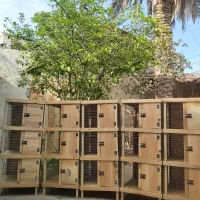 لونه عروس هلندی|لوازم جانبی حیوانات|بندرعباس, |دیوار