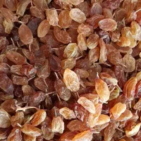 کشمش|خوردنی و آشامیدنی|یاسوج, |دیوار