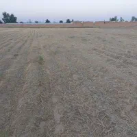 ۱۲۶۰۰ متر زمین سند تک‌برگ