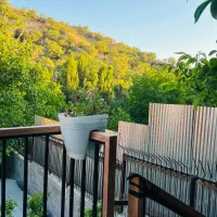 اجاره باغ رستوران ابشار یاسوج|اجارهٔ مغازه و غرفه|یاسوج, |دیوار