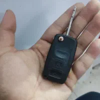 سوییچ پیداشده