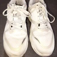 کفش اسپرت گریدر اورجینال سایز 43