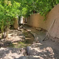 زمین مسکونی روستا امامزاده علی اکبر شهرضا|فروش زمین و ملک کلنگی|شهرضا, |دیوار