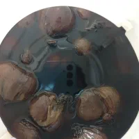 حراجی سیر خوش طعم