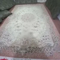 فرش ۷۰۰شانه بدون کوچکترین ایراد|فرش|سلماس, |دیوار