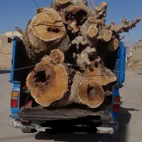 خریدهرنوع چوب