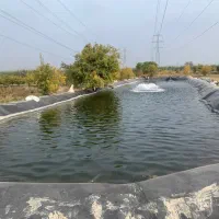 استخرذخیره آب کشاورزی و پرورش ماهی