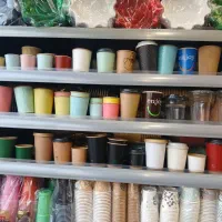 لیوان یکبار مصرف /کرافت/ تکجداره و دوجداره