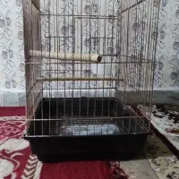 قفس گرینچیک