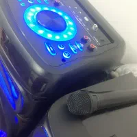 دو عدد باند سینما خانوداه بزرگ با میکروفن و کنترل|سیستم صوتی خانگی|بیرجند, |دیوار