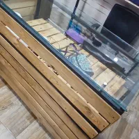 میزپیشخوان و ویترین رگال|فروشگاه و مغازه|رشت, معلولین|دیوار