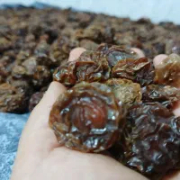 آلوچه آفتاب خشک|خوردنی و آشامیدنی|فولادشهر, فولادشهر|دیوار