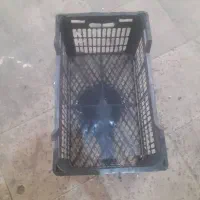 سبد/پلاستیک/گوجه/صادراتی/کاهو|عمده‌فروشی|تهران, میدان میوه و تره‌بار مرکزی|دیوار