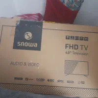 کارتن تلوزیون