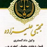 وکیل دادگستری و مشاور حقوقی