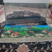 اکواریوم