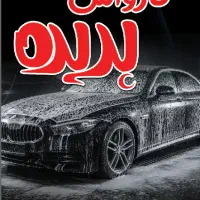 به نیروی کارماهر در کارواش نیازمندیم (خانم یا آقا)