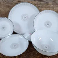 سرویس آرکوپال دینو 26 پارچه نو و کامل
