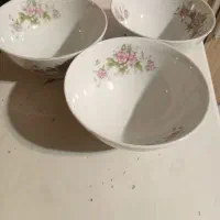 چینی گلسرخی|ظروف سرو و پذیرایی|کرج, کرج نو|دیوار