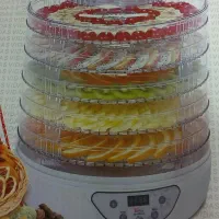 میوه خشک کن۵طبقه